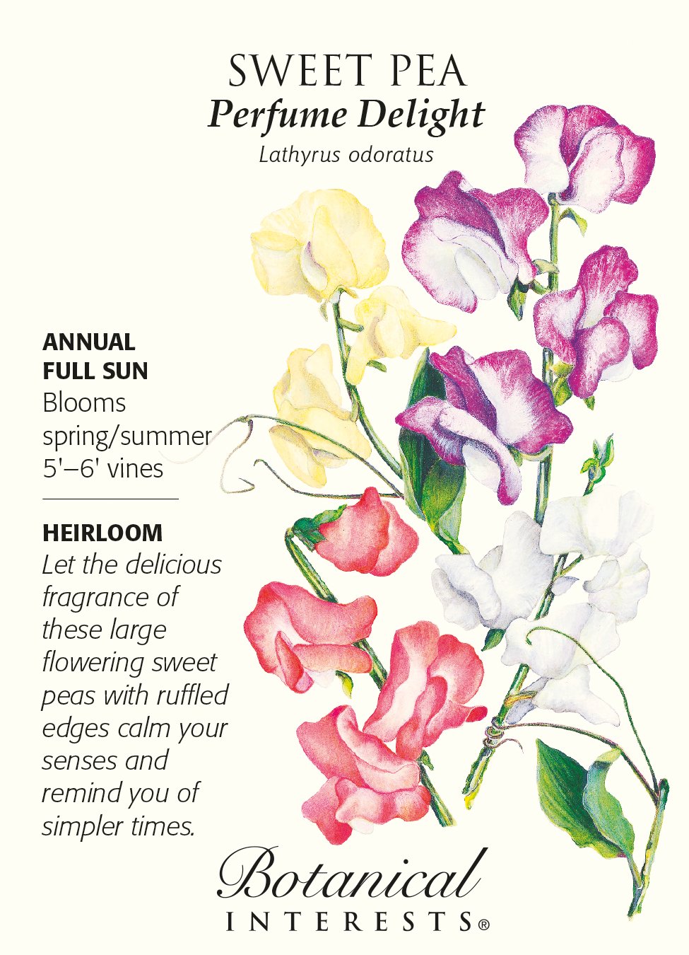 Sweet Pea Perfume