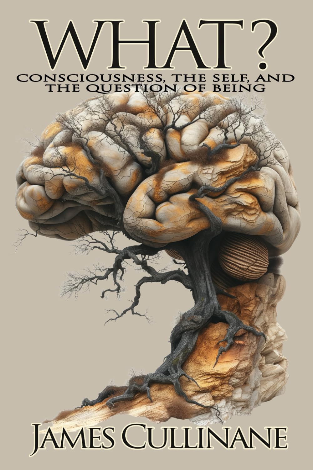 What?: Consciousness, the Self, and the Question of Being