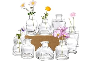 Hedume 10-Piece Clear Glass Mini Vases for Elegant Floral Displays