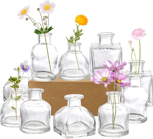 Set of 10 Small Glass Flower Vases, Clear Glass Bud Vases, Decorative Rustic Floral Vases, Mini Table Floral Vase for Home Decor Centerpieces, Events, Vintage Look