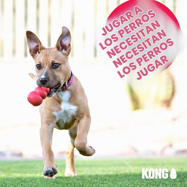 Foto 8 de 8 de Kong - Frisbee Kong para perros Flyer