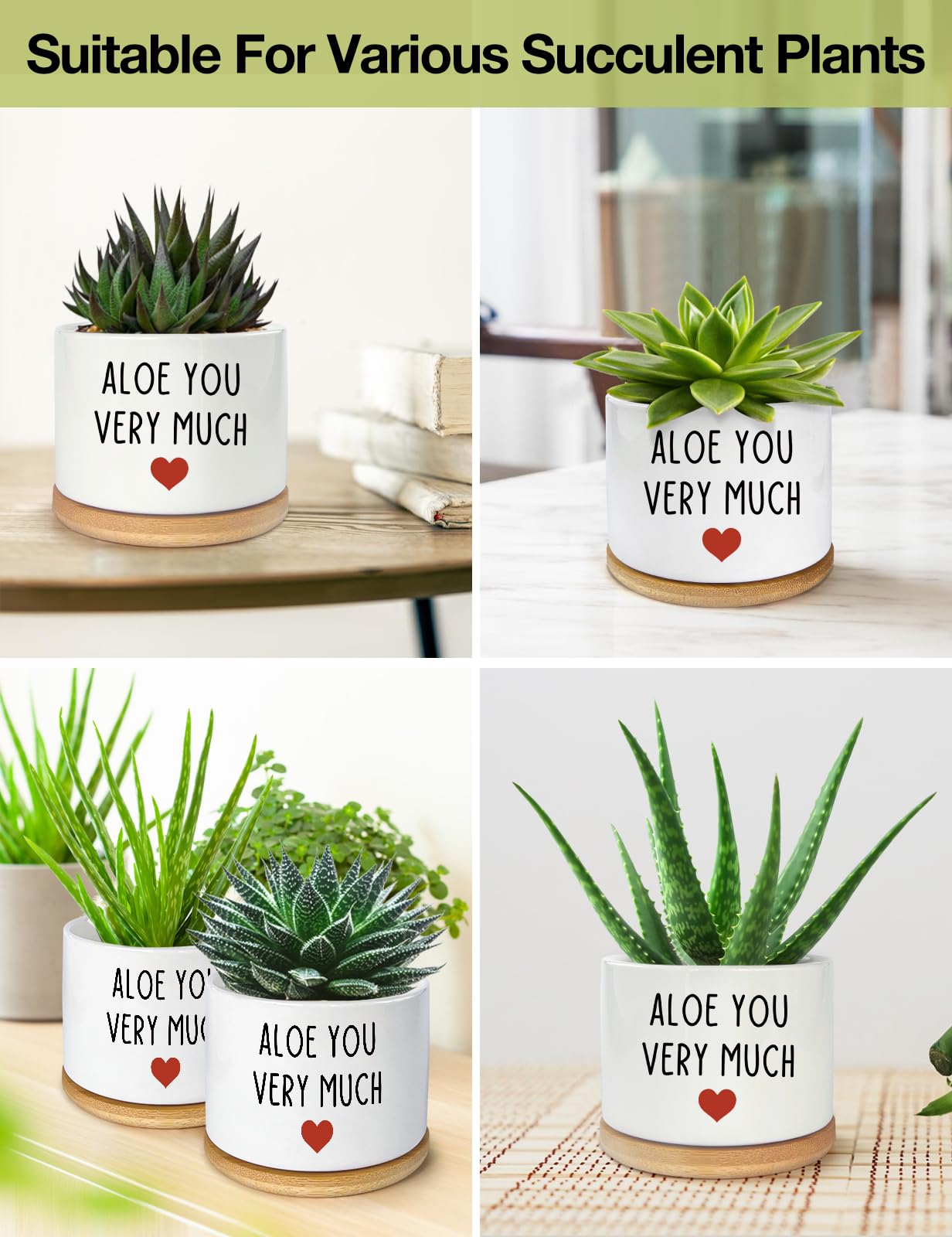 You Very Much- Maceta de cerámica blanca grabada para suculentas y cactus de aloe, divertidas macetas de interior para el hogar, oficina, alféizar de ventana, regalo de 3.8 pulgadas