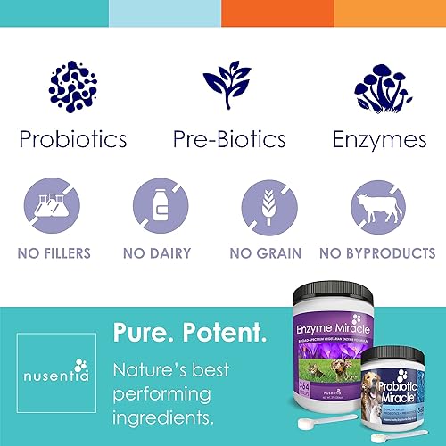 Miniatura 4 de NUSENTIA The Miracle Pack - Probióticos naturales + enzimas digestivas (grande) - Prebióticos - para diarrea, gases, heces sueltas, malestar