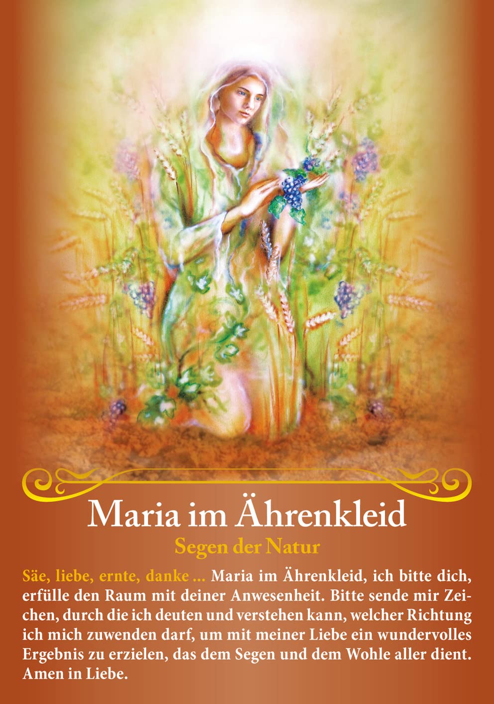 Rückkehr der Marien - Die Heilerinnen des Lichts: 48 Karten mit Begleitbuch