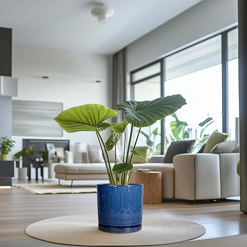 Miniatura 9 de Maceta de 12 Pulgadas para Plantas - Maceta de Cerámica para Plantas de Interior Maceta Grande para Plantas con Agujeros de Drenaje y Platillo