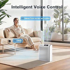 Air Purifiers for Home Bedroom Large Room Up to 2200 Ft, Smart HEPA Air Cleaner with APP Control,PM 2.5 Display Air Quality, Sleep Mode, Auto Mode, HEPA Air Purifier for Pets Hair, Dust, Odor, Pollen