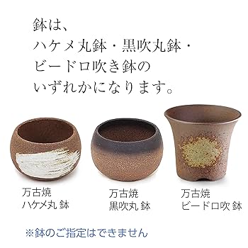 佐太郎　ミニ盆栽鉢　丸 佐太郎 ミニ盆栽鉢 丸 佐太郎 丸 盆栽鉢 ミニ盆栽鉢 楽天市場】4号