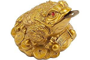 Feng Shui Money Frog: Enhance Financial Abundance