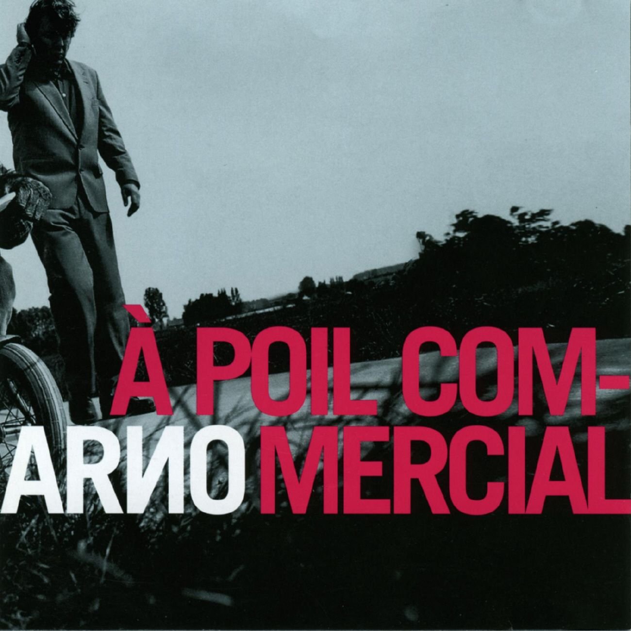 A Poil Commercial [Audio CD] Arno; Arno Hintjens; Ferre Baelen and Rudy Cloet