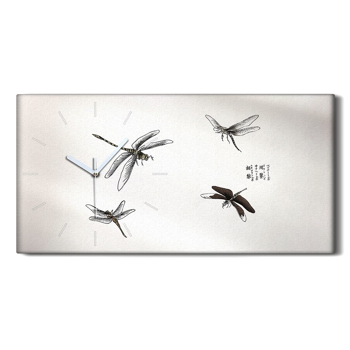 Horloge Silencieuse Insectes Asiatiques en Toile avec Aiguilles Blanches 60x30