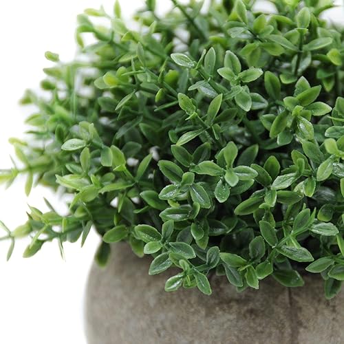 Miniatura 8 de Velener Mini Sage Green Potted Boxwood Topiary Artificial Plants for Home Decor Indoor, Farmhouse House Plant Office Small Desk Shelf Apartment Verde