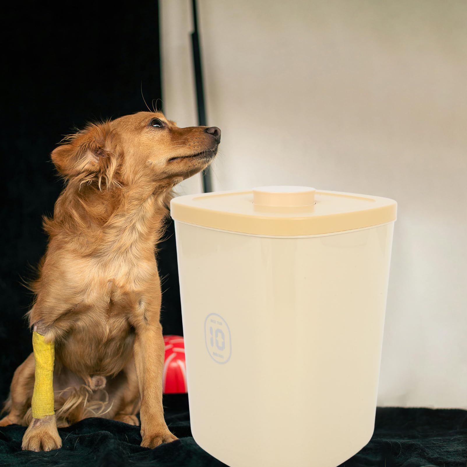 YARNOW Récipient Hermétique De Stockage De Nourriture Pour Chien Jusqu'à 22 Lb/10 Kg Boîte De Friandises Pour Animaux De Compagnie Récipient De Nourriture Pour Chat Bac En Plastique