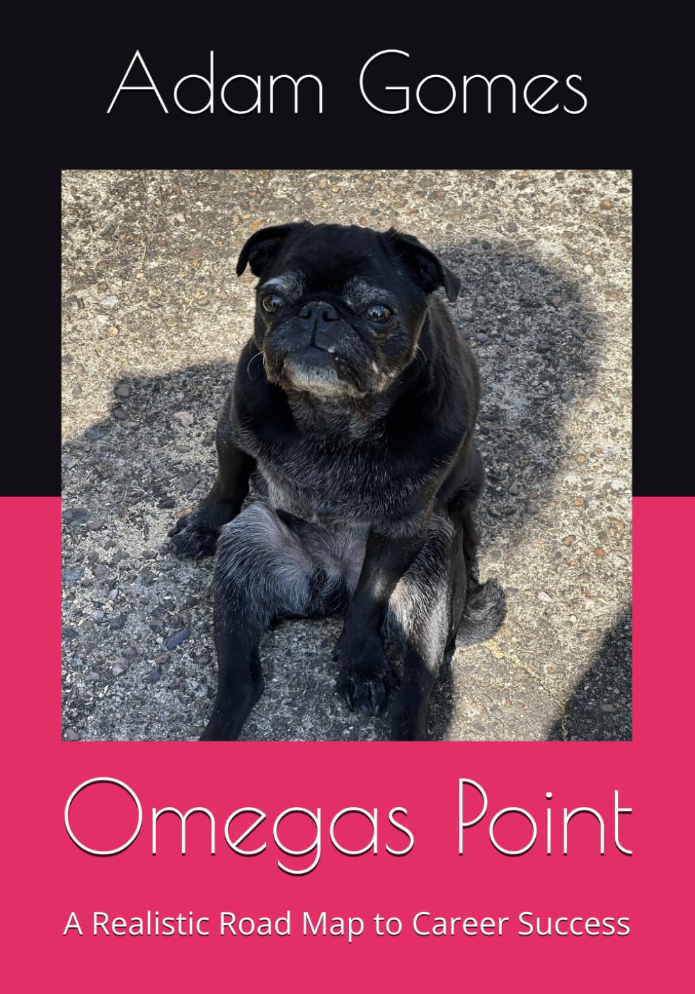 Omegas Point: A Realistic Road Map to Career Success