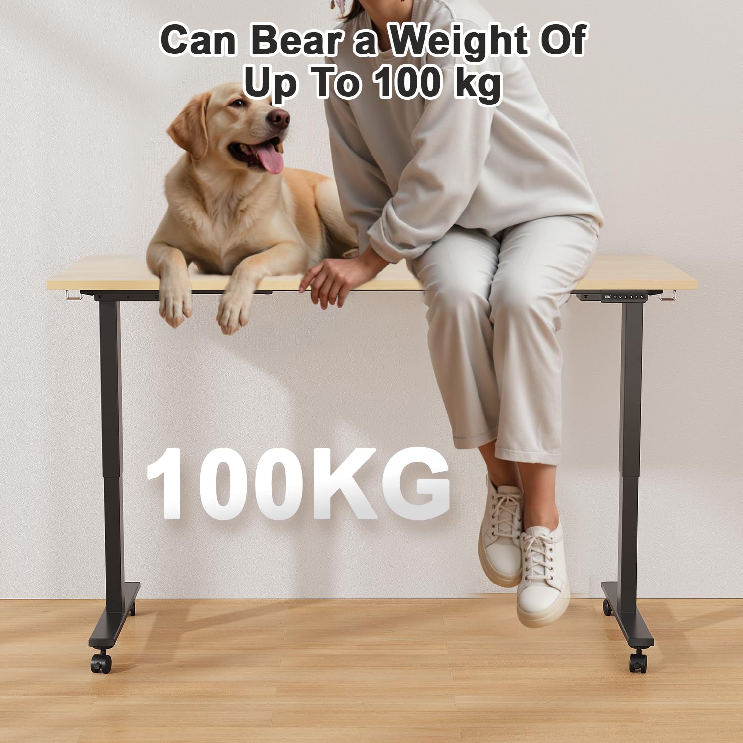 JUMMICO Bureau Assis Debout Double Moteur Double Traverse Capacité de Charge 100kg avec Panneau de contrôle Intelligent Contrôleur de mémoire à 3 Vitesses Interface USB-C Système Anti-Collision