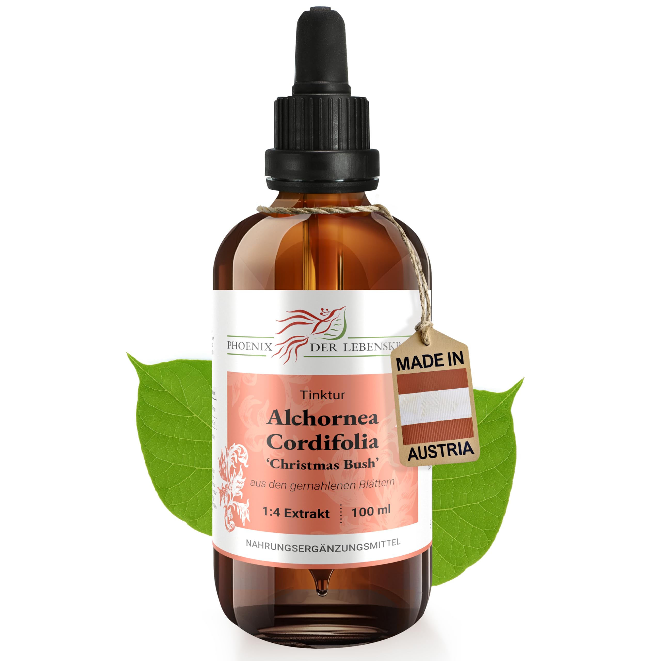 Alchornea cordifolia Tinktur 100ml | Christmas Bush Tropfen (1:4 Auszug) | Nahrungsergänzungsmittel aus Österreich | mit gemahlenen Blättern | Bitter Leaf, Ipa, Serpentwood