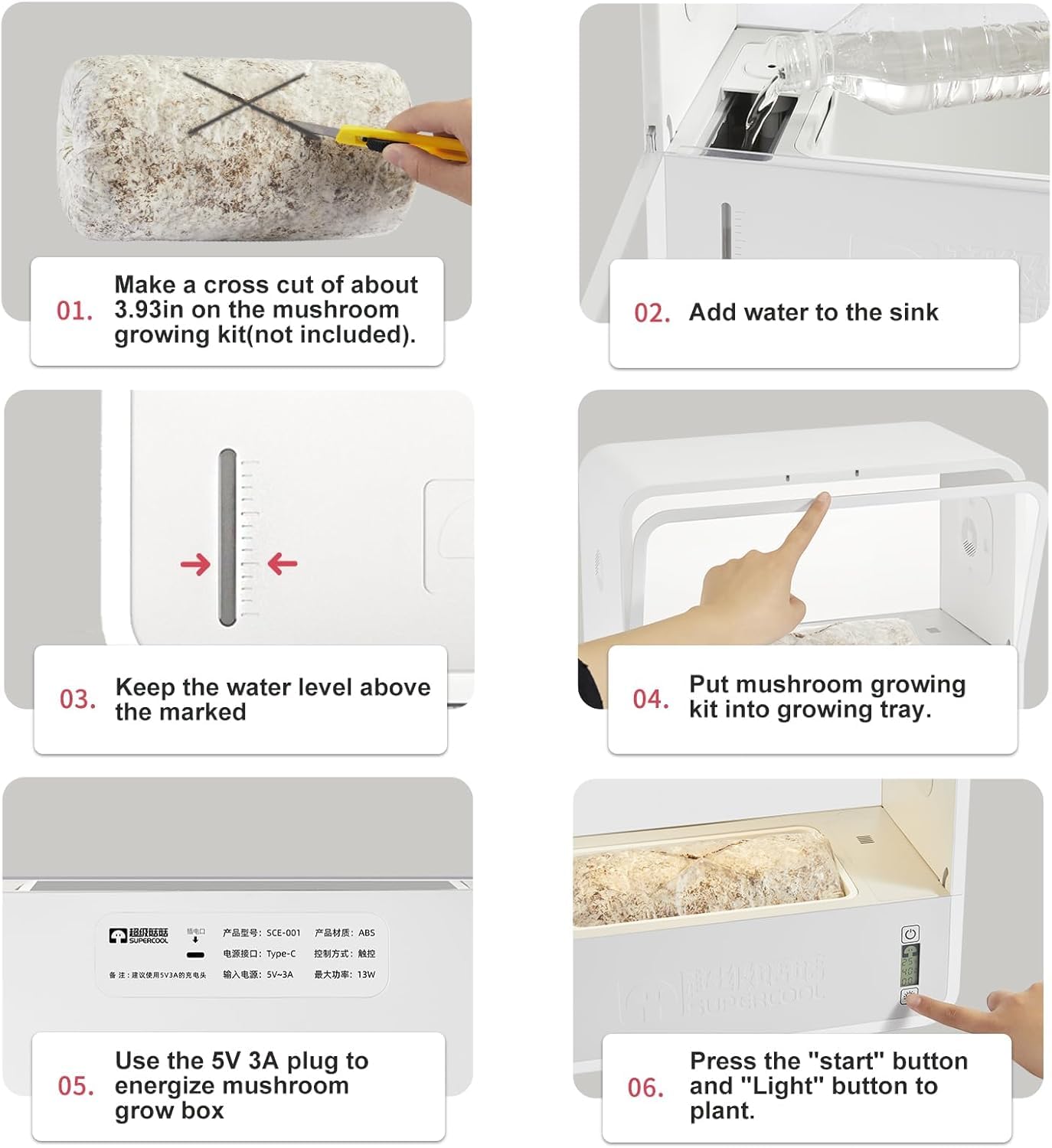 Kit De Cultivo De Setas De Interior Incluye Luz para Cultivo De Hongos. Sistema De Aire Fresco, Temperatura HumidificacióN AutomáTica para Hongos Shiitake