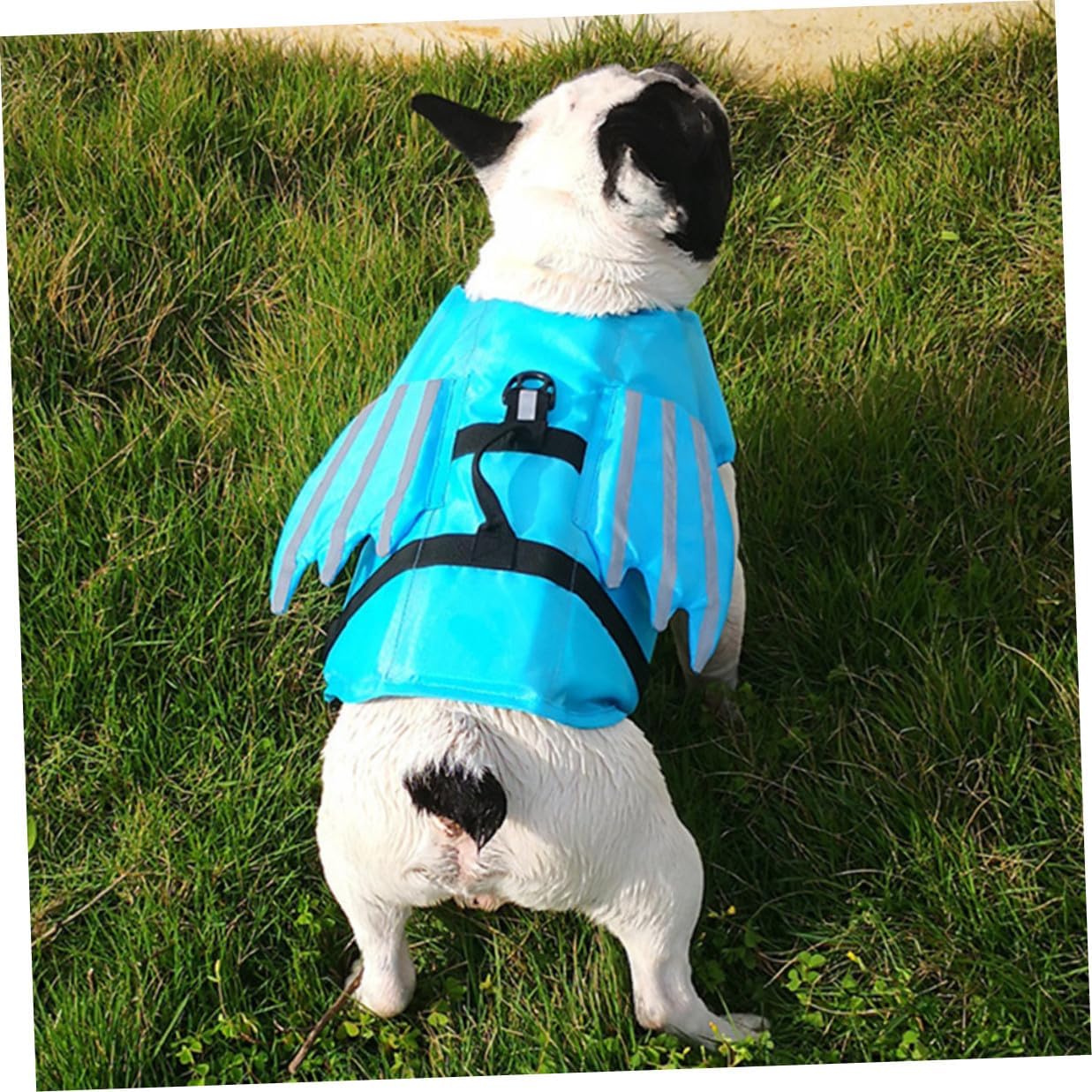 Wear-Resistant Dog Swimsuit and Portable Breathable Vest with Reflective Wings, Blue S, Outdoor Swimming Life Jacket for Small Dogs