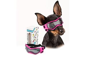 Dog Rex Specs: Tiny Tail's Eyewear Adventure