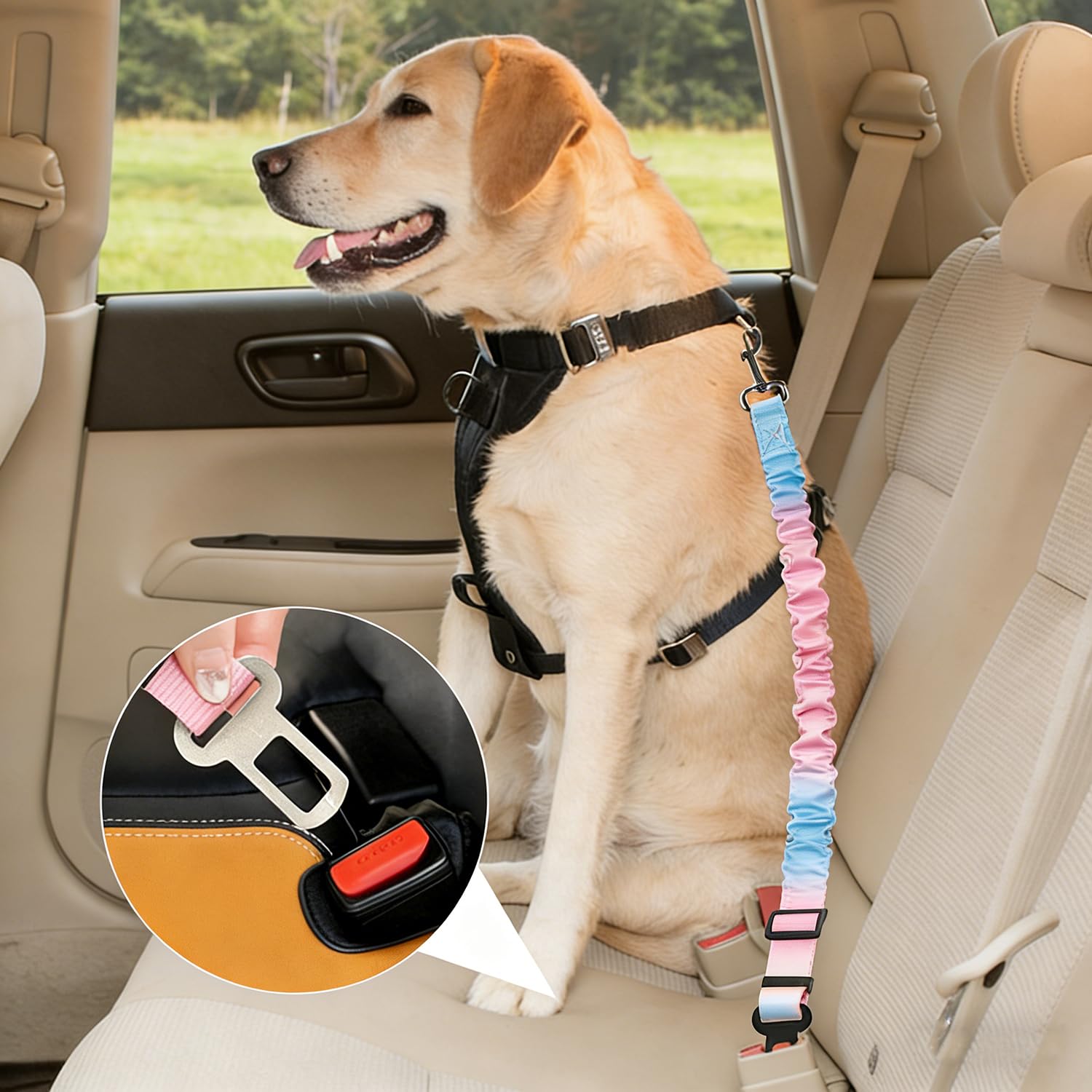 Réglable Ceinture Securite Chien Voiture - 1 Pièce, Bleu Rose Dégradé, Elastique Attache Chiens Voitures, Adaptée à Tous Les Types d'animaux et de Modèles de Véhicules