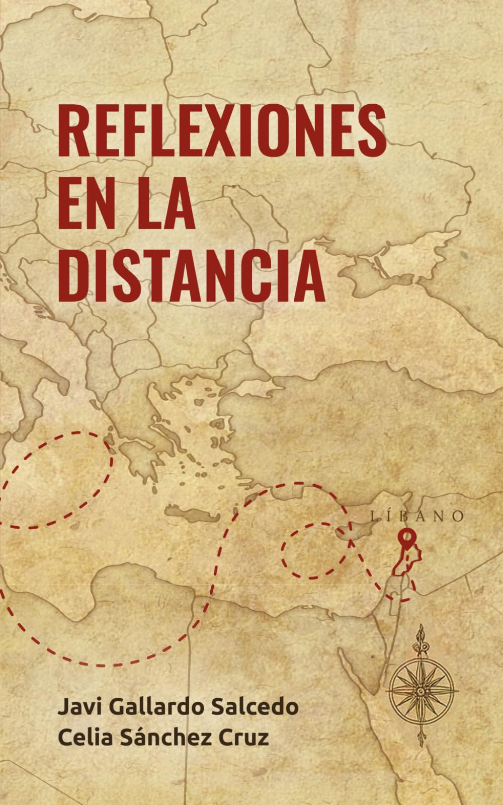 REFLEXIONES EN LA DISTANCIA