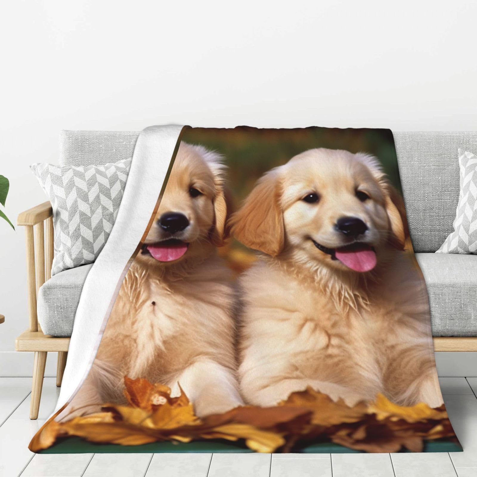 Golden Retriever Dogs Puppies Pets Throw Blanket Plush Flannel Fleece Blanket, Soft Lightweight Cozy Blankets 40"X30" for Bed Couch Sofa Travel