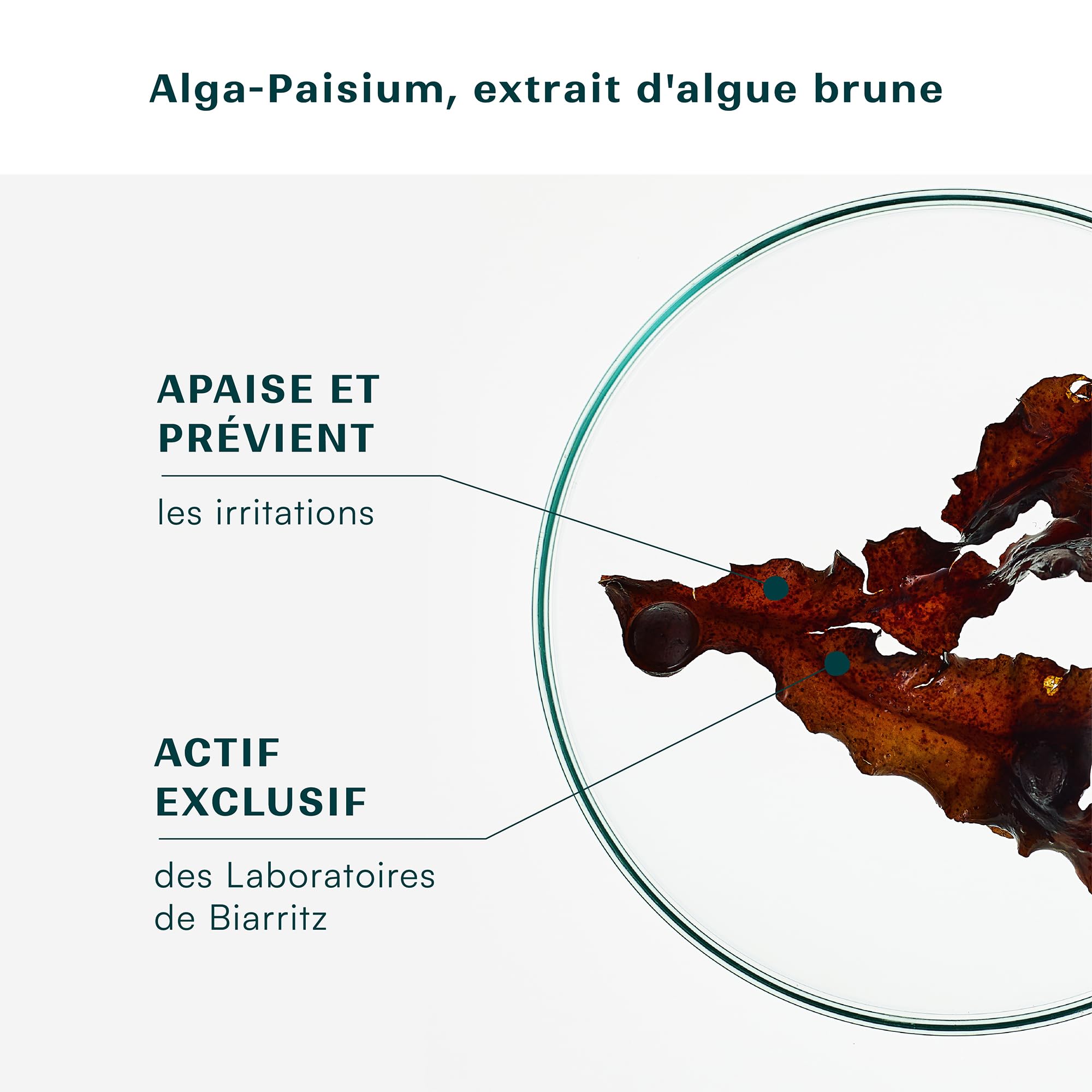 Laboratoires de Biarritz - Eau Nettoyante Micellaire pour Bébé - Certifiée Bio - Apaise et Rafraîchit la Peau - Visage, Corps, Mains & Siège - 500 ml - Fabriquée en France