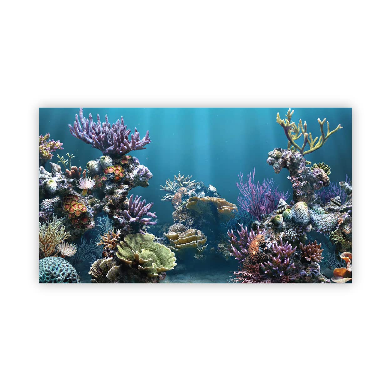 VVWV® Aquirium Background colourfull Stickers for Fish Tank Waterproof Vinyl Printed Sticker Multicolored (76 X 30 CMS) (B0BW3DYZGY) Amazon Price History, Amazon Price Tracker