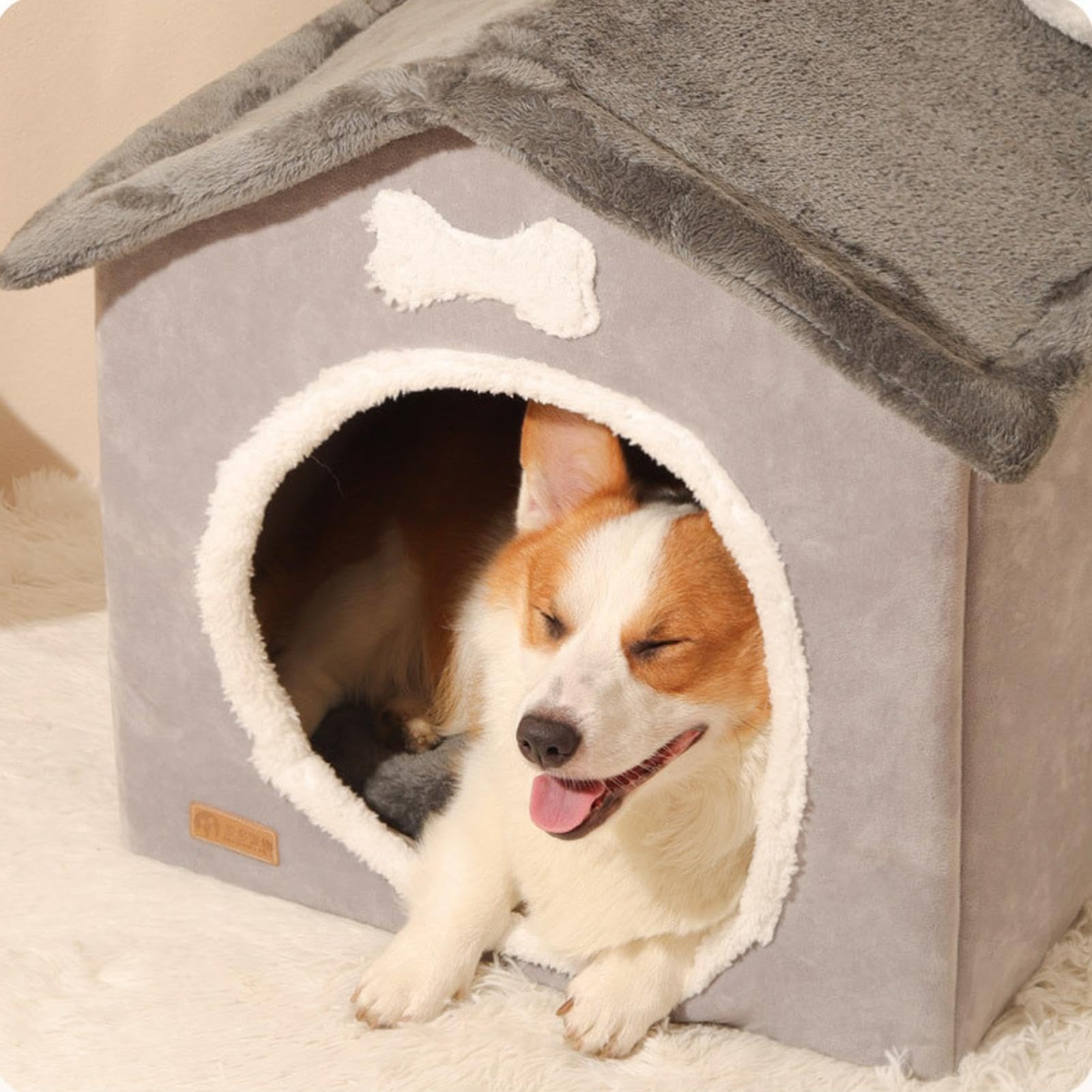 Cuccia pieghevole per cani – Cuccia pieghevole chiusa, cuccia per cani di piccola taglia | Cani e gatti e grandi, caldo invernale, cuccioli, prodotti per divano | Cuccia per gatti in peluche con cuscino rimovibile adatto per cani e gatti di piccola e medi