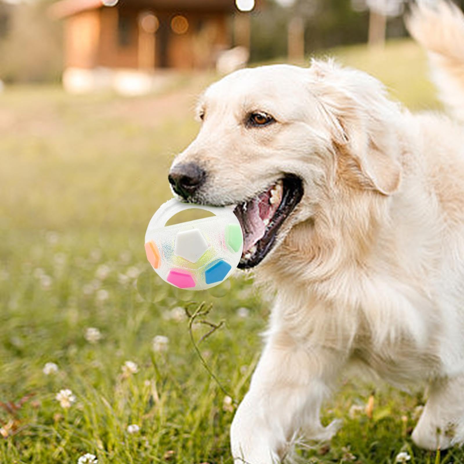 Milageto Dog Soccer Ball Indestructible Football for Dogs Tug Toy with Handle Outdoor Dog Toys Interactive Dog Toy Ball for Small & Medium Puppy Trainning Gifts Garden Toys for Dogs Transparent - Image 4
