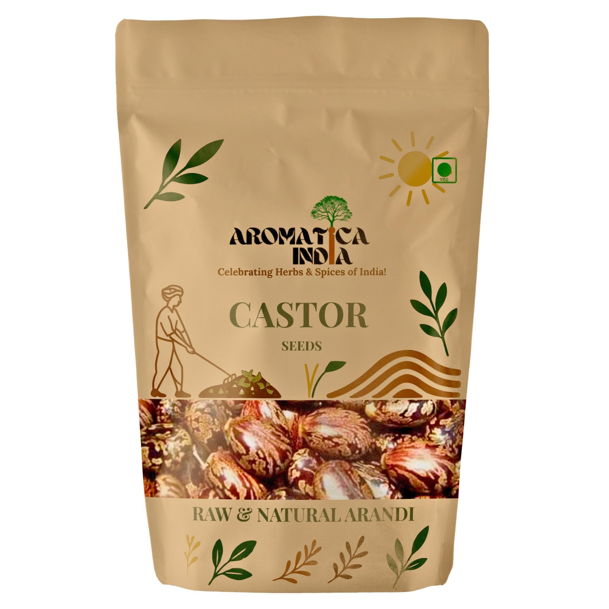 Aromatica India Castor Seeds Arandi Beej for Oil Extraction Planting Farming Idli Making Raw P 100gm-image-48