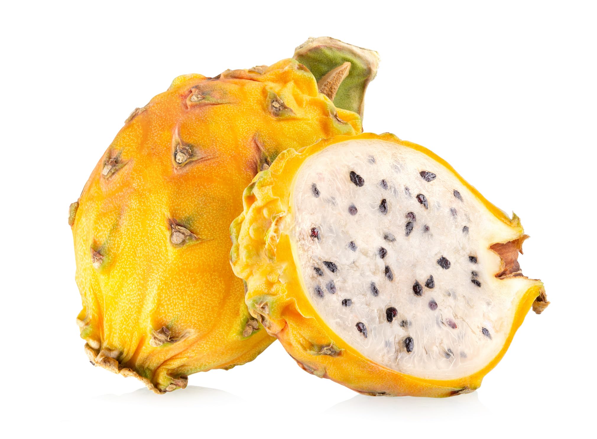 POWERS TO FLOWERS - PITAYA TRIS: GIALLA, A POLPA ROSSA e BIANCA, FRUTTO DEL DRAGO, HYLOCEREUS UNDULATUS, DRAGON FRUIT, 3 PIANTE, piante vere