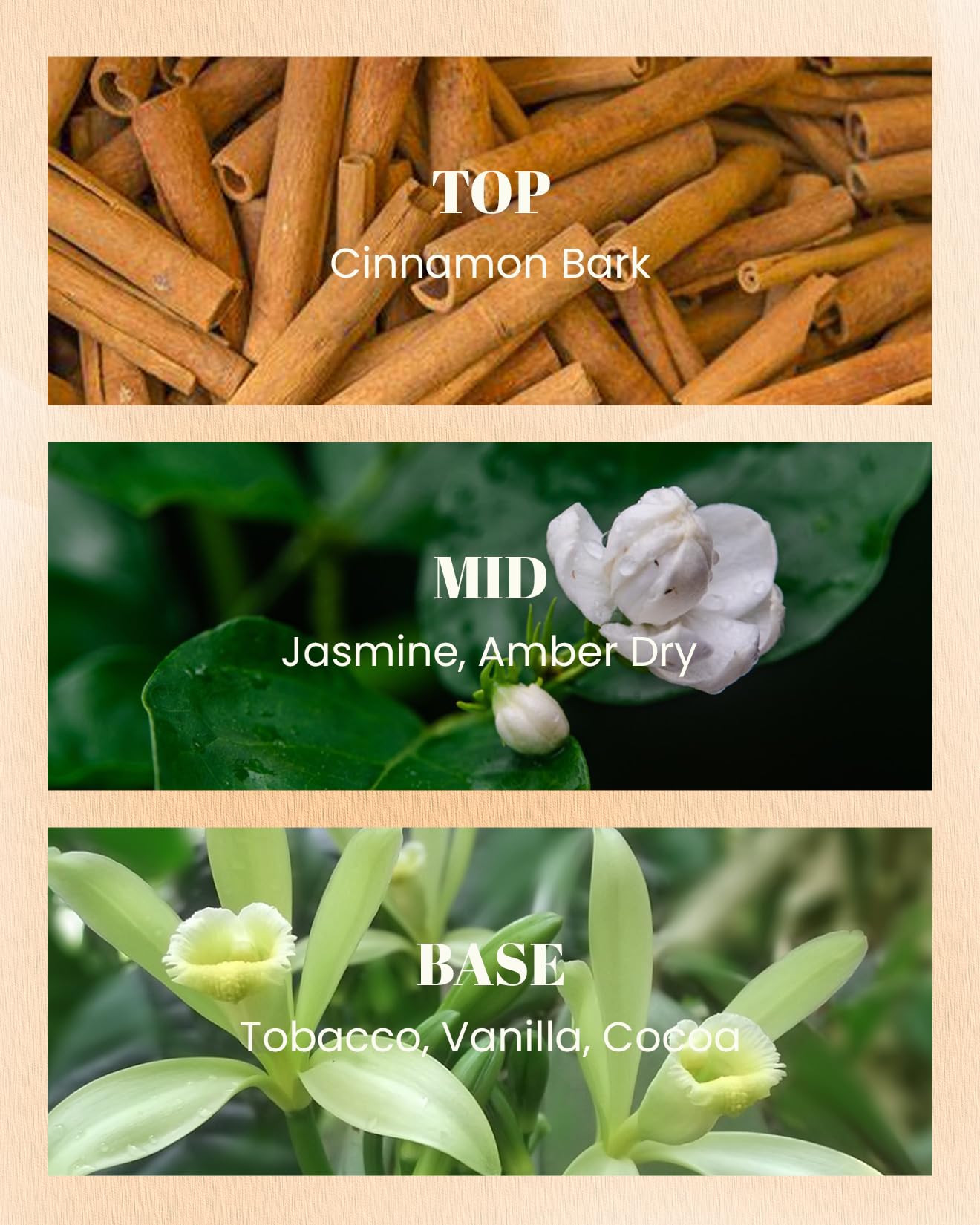 breeze pro tobacco near me breeze pro vanilla tobacco Breeze Tobacco Vape Tropical Summer Breeze Pro  Breeze Pro Disposable Vape Wholesale