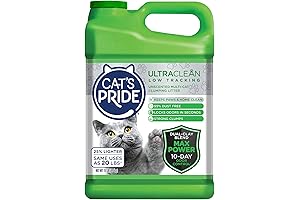 Max Power Cat Litter: Clean Paws, Happy Home