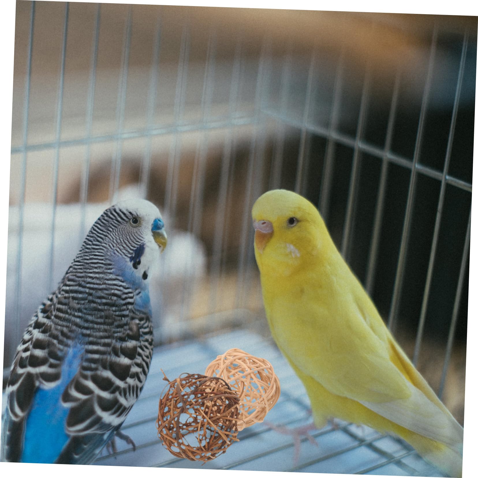 Toddmomy 36pièces Jouets à Mâcher pour Oiseaux De Balles à pour Perroquets Cages Et Petits Animaux Jouets Rotin Et pour Oiseaux De Compagnie