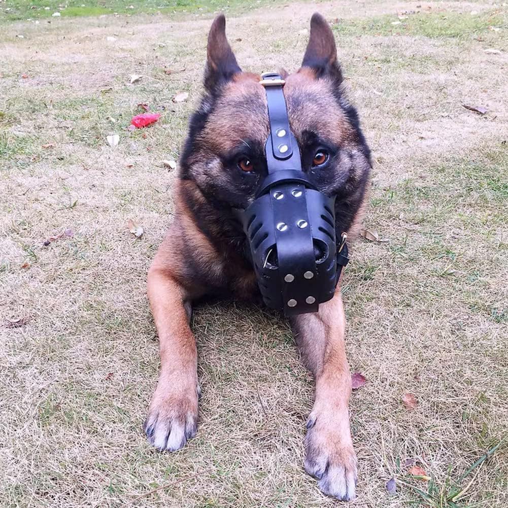 Bozal para Perro, bozal de Cuero Ajustable para Mascotas, bozal de Entrenamiento para Evitar morder, ladrar y Comer,L