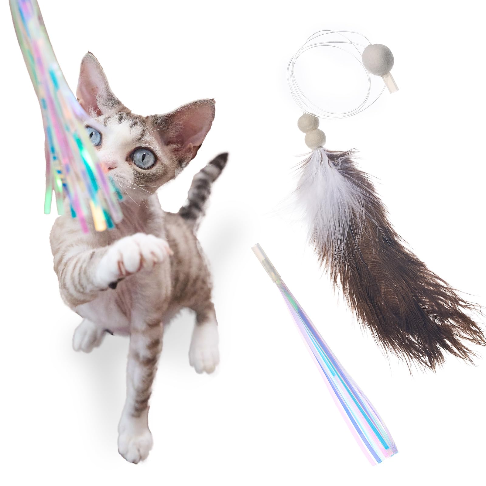 Amazon | 猫壱 猫じゃらし 羽 おもちゃ 天然羽根 フィルム 頑丈 羽根