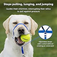 Vista 3 de Collar suave de conducción con DVD de entrenamiento PetSafe, Fawn