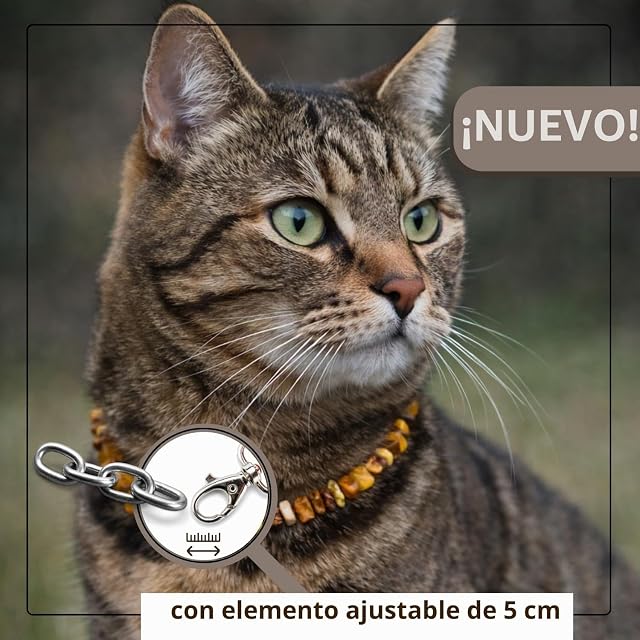 Foto 2 de 6 de Collar antipulgas PetLove para Perros y Gatos • 100% ámbar báltico • Collar antipulgas para Perros • Collar…