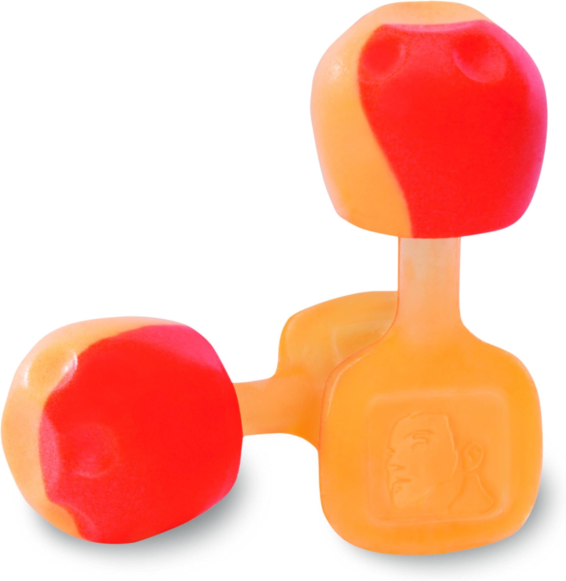 Howard Leight TrustFit Pod Reusable Foam Shooting Earplugs