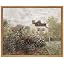 Brown Monet