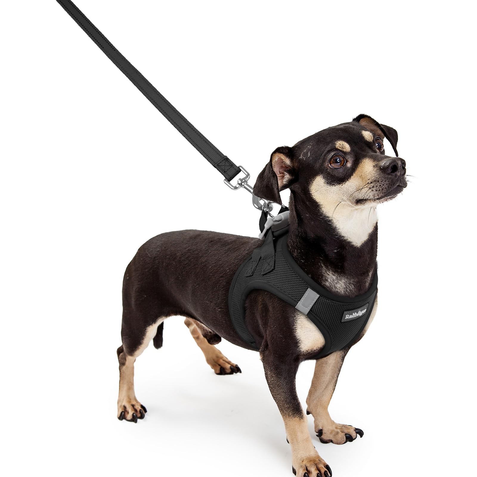 rabbitgoo Dog Harness Small Sized and Leash Set, Step-in Puppy Pet Vest