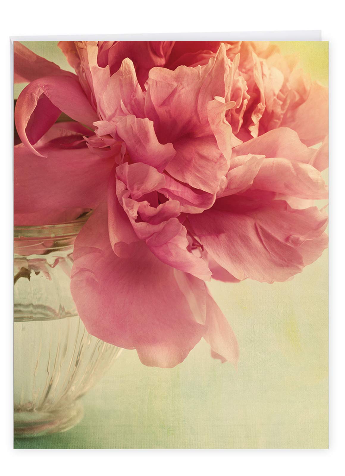 The Best Card CompanyGRP-TBCC-J-GW- 1 Jumbo Get Well & Enve. (J6553BGWG)