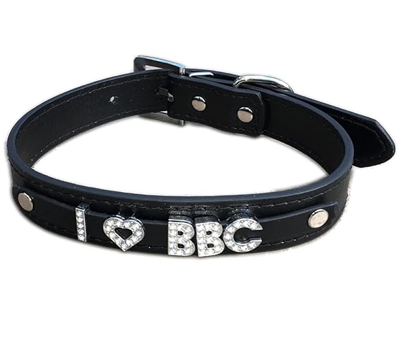 Plug Emporium Black Vegan PU Leather Bondage Type BDSM Choker Collar Rhinestone Assorted Styles - I LOVE BBC - Large 15"-19"