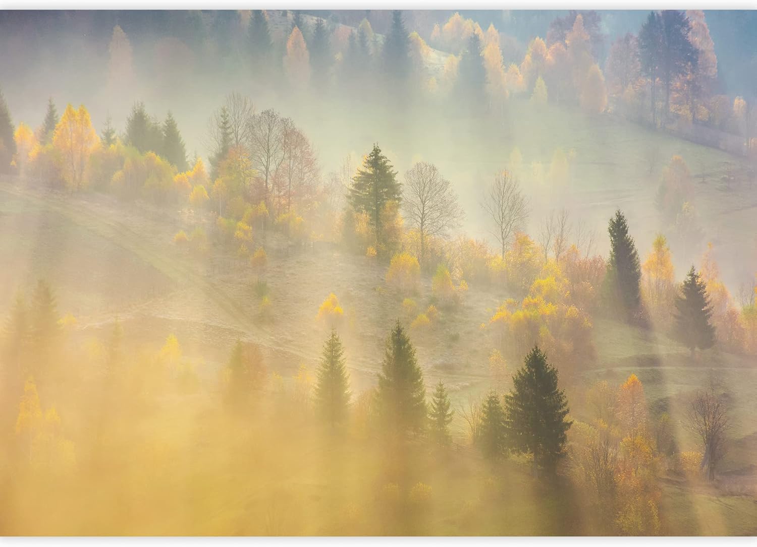 SIGNWIN Wall Mural Foggy Forest Removable Self-Adhesive Wallpaper Wall Decoration for Bedroom Living Room - 100x144 inches