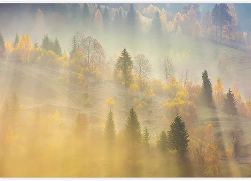 Miniatura 2 de signwin Mural de pared de paisaje del bosque autoadhesivo y desprendible para decoración de pared de la recámara, sala.