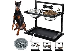 Elevated Large Dog Bowls with Stand and Slow Feeder