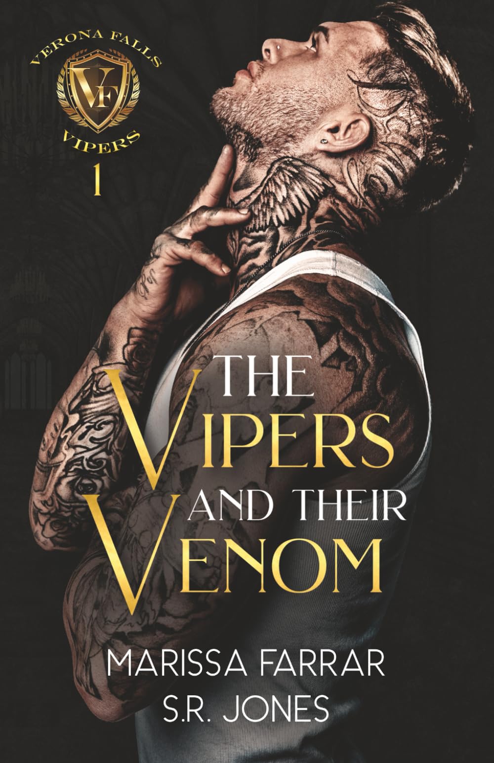 The Vipers and Their Venom: A Dark College Bully Romance: 1 (Verona Falls Vipers)