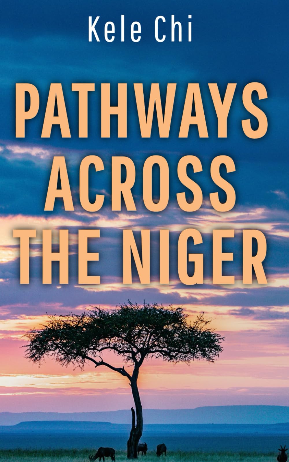 Pathways Across The Niger