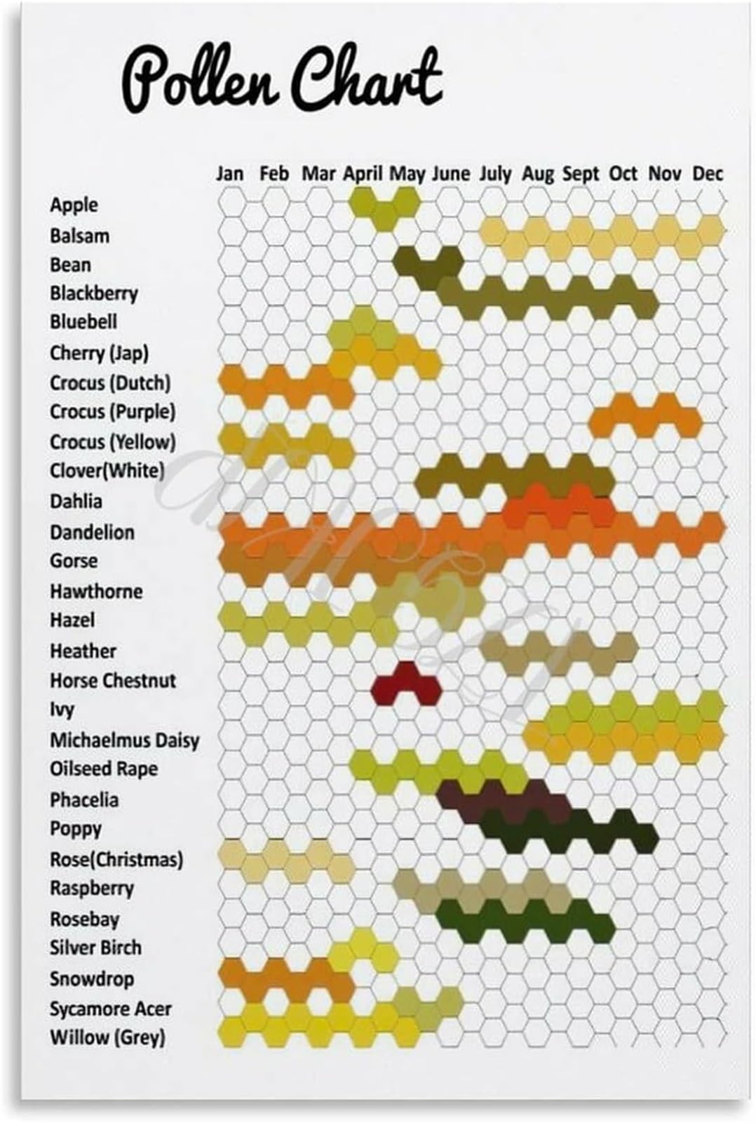 EKFBQBGW Pollination Poster Bee Species Chart Pollen Transfer Guide Nature Knowledge Educational Wall-Art for Home Library