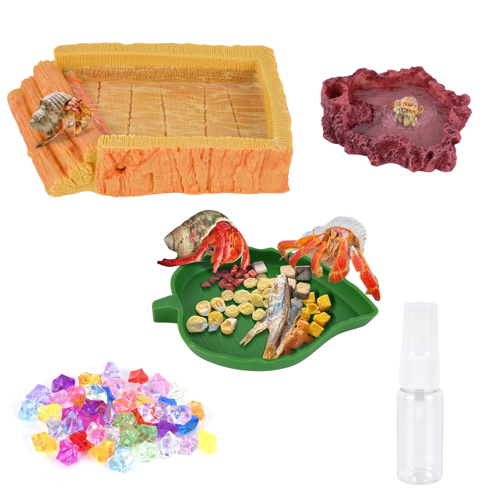 5 Pack Hermit Crab Water Pool Hermit Crab Food Bowl Dish Reptile Terrarium Water Bowls Reptile Starter Kits Accessories for Hermit Crab Leopard Gecko